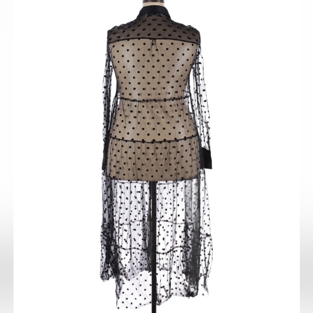 Zara Sheer Dot Midi Collared Long Sleeve - Picture 9 of 16